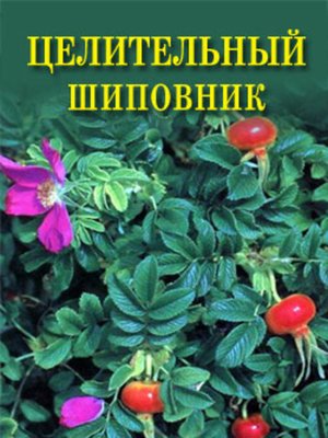 cover image of Целительный шиповник